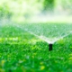 ¿Cómo elegir el sistema de riego automático para tu jardín?